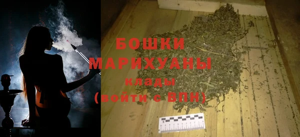 сатива Козельск