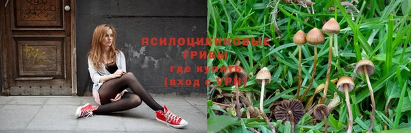 прущая мука Данков