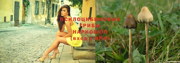 сатива Козельск